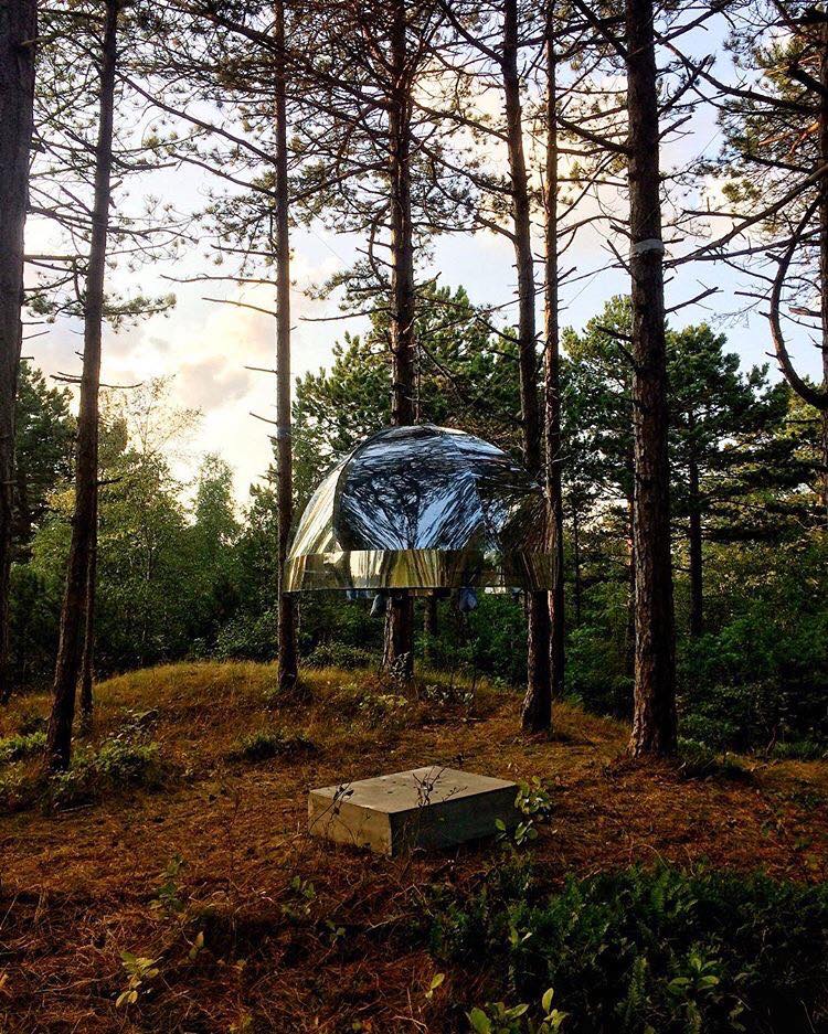 The dome in the forest